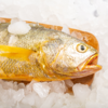 350~450g单条 精品大黄鱼 野生海捕 液氮速冻 商品缩略图1