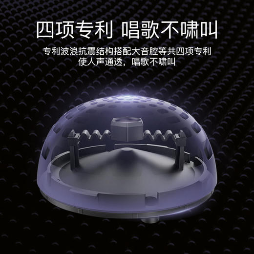 唱吧小巨蛋 P60家庭KTV话筒音响一体麦克风 商品图2