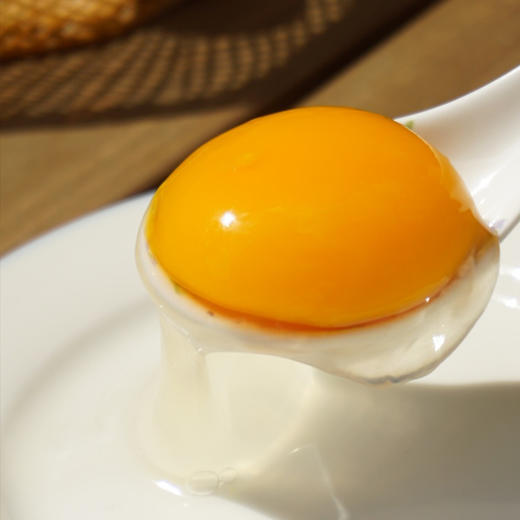 农场散养大鹅蛋 商品图3