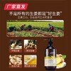 【迪彩】生姜草本去屑洗护 厂家直发 商品缩略图1