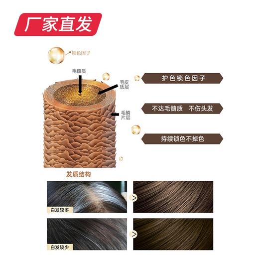 【迪彩】纯植物染发膏 60g×2 厂家直发 商品图4