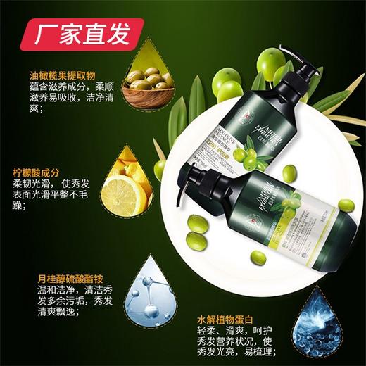 【迪彩】橄榄焗油洗护 厂家直发 商品图2