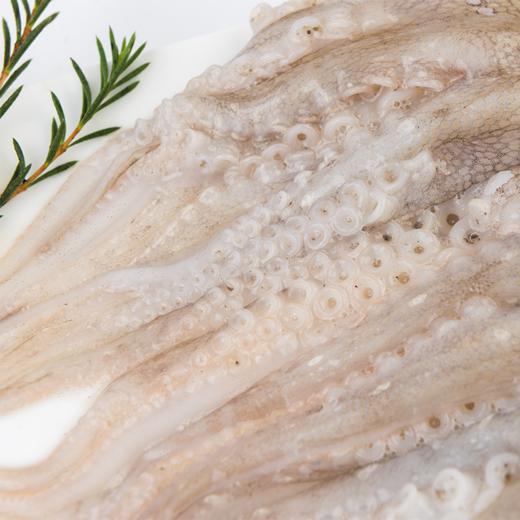 【章鱼·整只】400g 8-10只 至鲜章鱼 商品图5