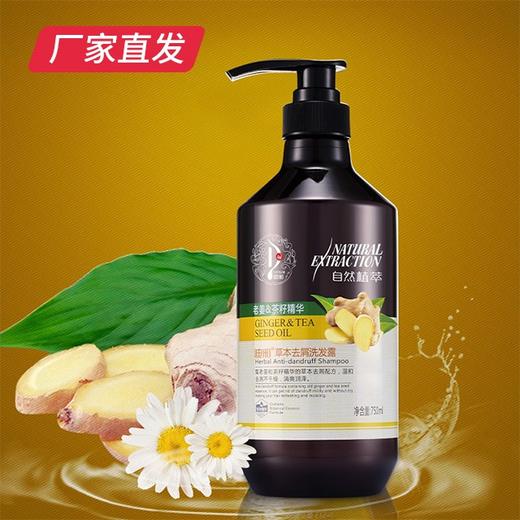 【迪彩】生姜草本去屑洗护 厂家直发 商品图2