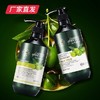 【迪彩】橄榄焗油洗护 厂家直发 商品缩略图0