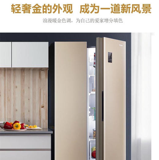 海尔（Haier）冰箱BCD-480WBPT 商品图6