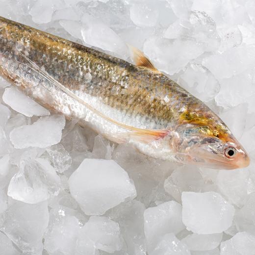 至鲜海刀鱼 250g/3条 液氮速冻  鲜中之鲜  软嫩细腻  “明前刀”骨软如绵哦~ 商品图4