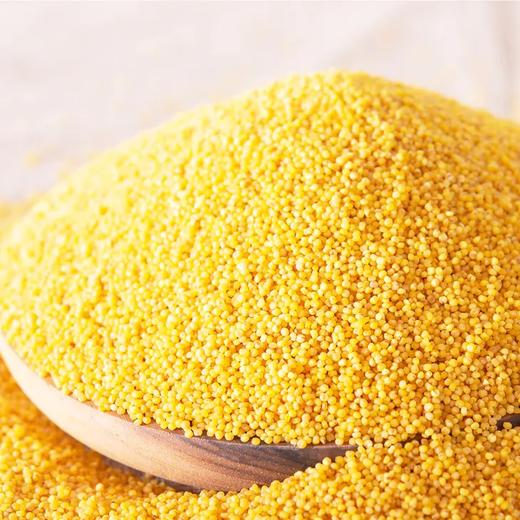 【自营】米脂小米5斤装  新米 商品图1