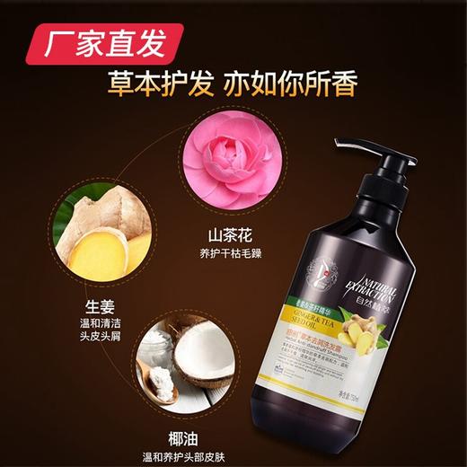 【迪彩】生姜草本去屑洗护 厂家直发 商品图3