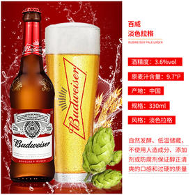 百威 啤酒瓶装