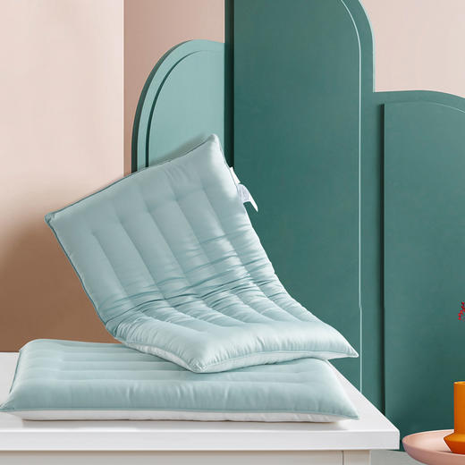 利路米抗菌低度枕青少年枕专为低枕人群设计 商品图1