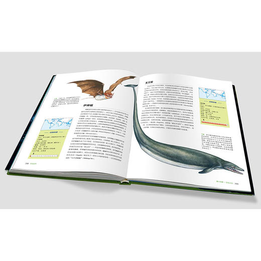 【适合6岁+】精装典藏《恐龙全书：世界恐龙完整指南》6岁+ 11大类170多种恐龙238种远古生物300张复原恐龙 商品图8