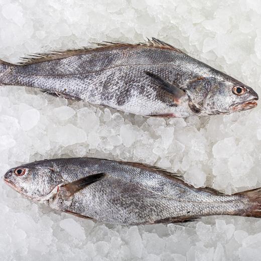 米鱼整条1kg4条吕四至鲜精品米鱼