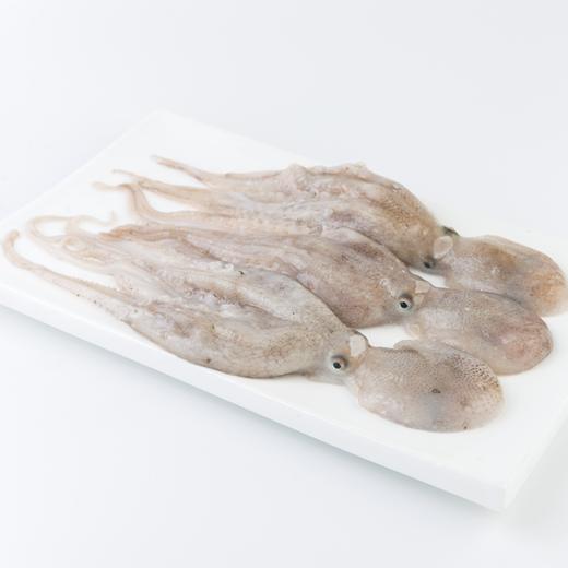 【章鱼·整只】400g 8-10只 至鲜章鱼 商品图1