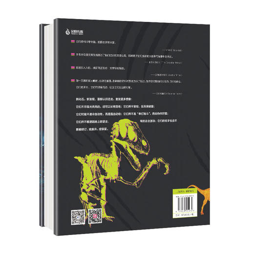 【适合6岁+】精装典藏《恐龙全书：世界恐龙完整指南》6岁+ 11大类170多种恐龙238种远古生物300张复原恐龙 商品图2
