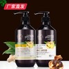 【迪彩】生姜草本去屑洗护 厂家直发 商品缩略图0