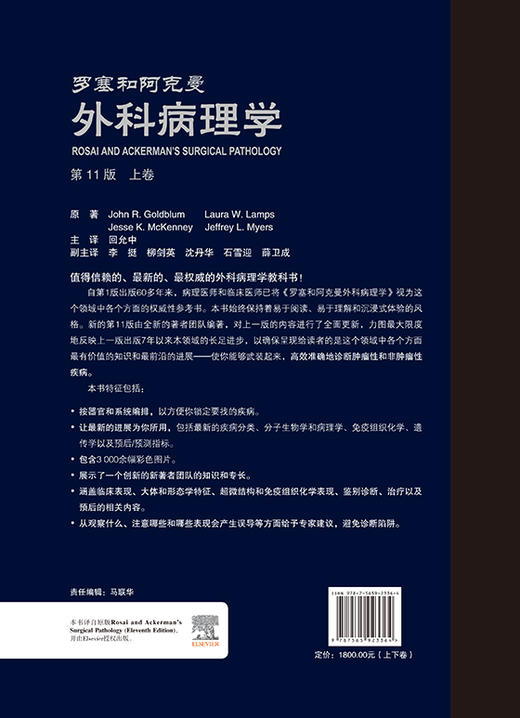 罗塞和阿克曼外科病理学 第11版上下册 高效准确的诊断肿瘤性和非肿瘤性疾病 实用软组织脊柱外科学 回允中主译9787565923364 商品图3