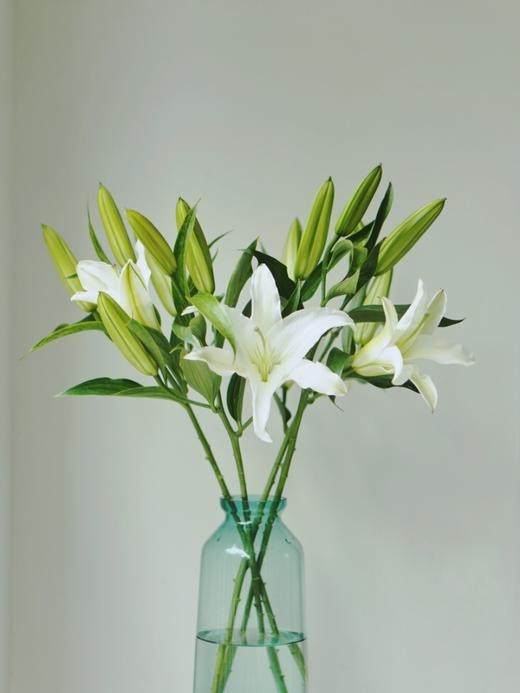 【周四秒杀】多头香水百合3枝29.8元  商品图3