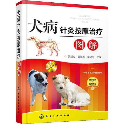 犬病针灸按摩治疗图解 商品图0