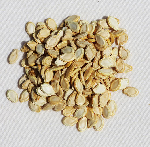 星际-蔬菜种子 商品图4