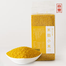【自营】米脂小米5斤装  新米