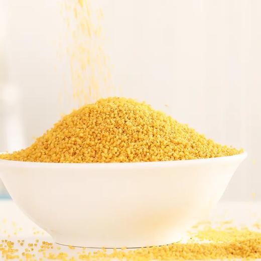 【自营】米脂小米5斤装  新米 商品图4