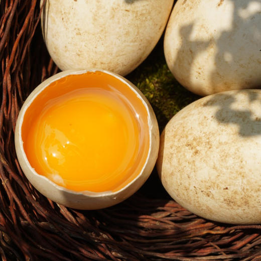 农场散养大鹅蛋 商品图1