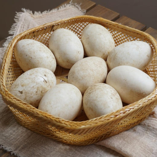 农场散养大鹅蛋 商品图2