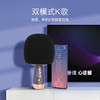 唱吧小巨蛋 P60家庭KTV话筒音响一体麦克风 商品缩略图1