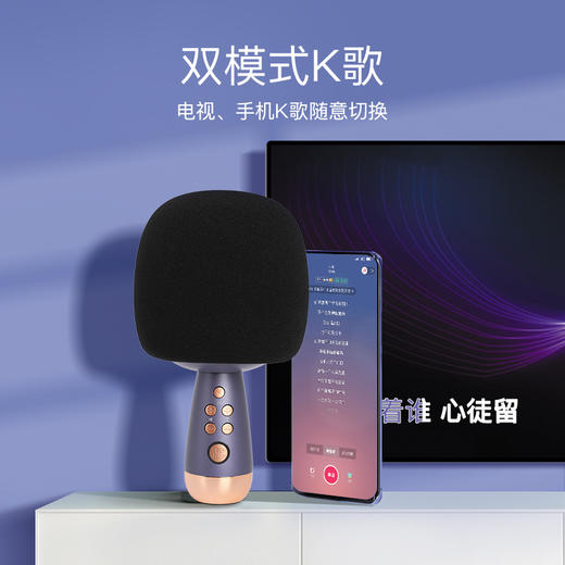 唱吧小巨蛋 P60家庭KTV话筒音响一体麦克风 商品图1