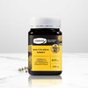 comvita康维他多花种蜂蜜500g新西兰原装进口天然成熟蜜瓶装 商品缩略图1
