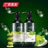 【迪彩】橄榄焗油洗护 厂家直发 商品缩略图1