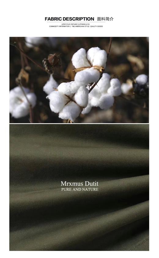 男休闲中裤1015-1 商品图4