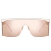 DIOR/迪奥 2021年新款 女士粉色醋酸纤维DiorClub M1U太阳镜CLUBM1UXR_96L0 商品缩略图1