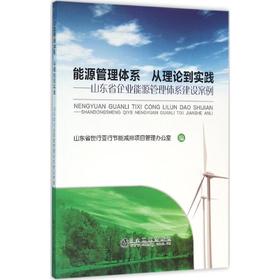 能源管理体系 从理论到实践