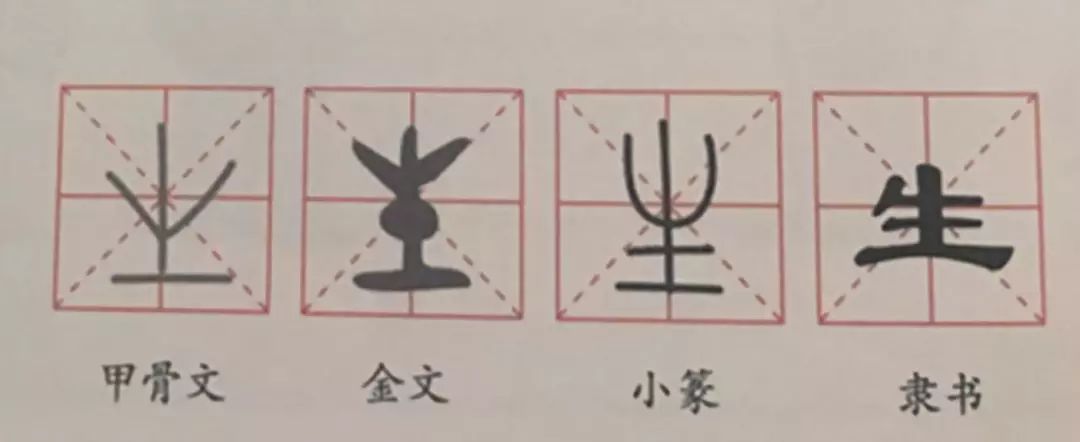 不用死记硬背也能学好汉字，《画给孩子的汉字故事》一本从未见过的“汉语宝典”