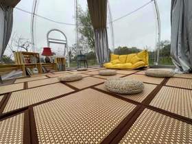 中泡泡屋榻榻米