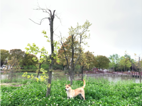 010生命农场开放啦