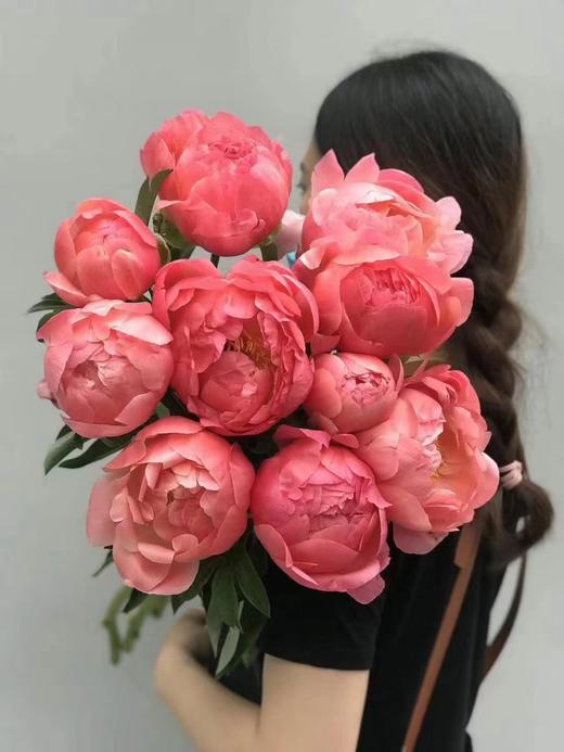 【俘获人心】芍药-落日珊瑚（西瓜红) 5枝（渐变色） 商品图10