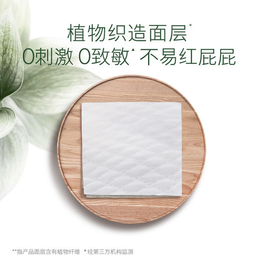 【4包364元】好奇心钻 小森林 纸尿裤 拉拉裤【厂家涨价，速囤！！】【新老包装混发】 商品图7