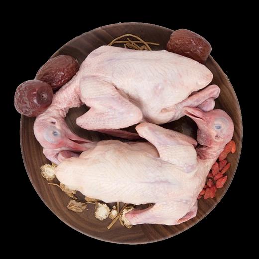 硒全食美富硒汤鸽520g 商品图2