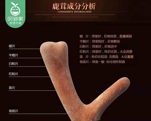 吉林鹿茸片（半腊片）/1盒（3g）+赠西洋参片3g 生产日期：25年12月补单专用 商品图3