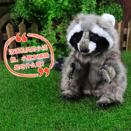 Folkmanis Puppets浣熊玩具/3075玩偶毛绒玩具礼物 商品图1