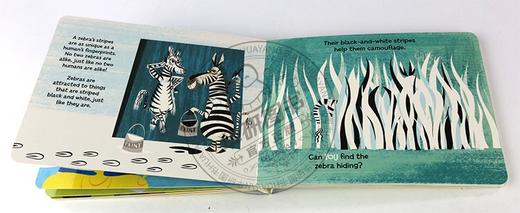 动物知识小百科 英文原版 All About Animals A Lift the Flap Book of Fun Facts 儿童英语启蒙纸板翻翻书 英文版进口原版书籍 商品图2