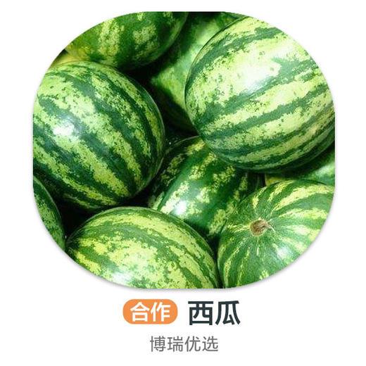 魔雷西瓜（个） 商品图0