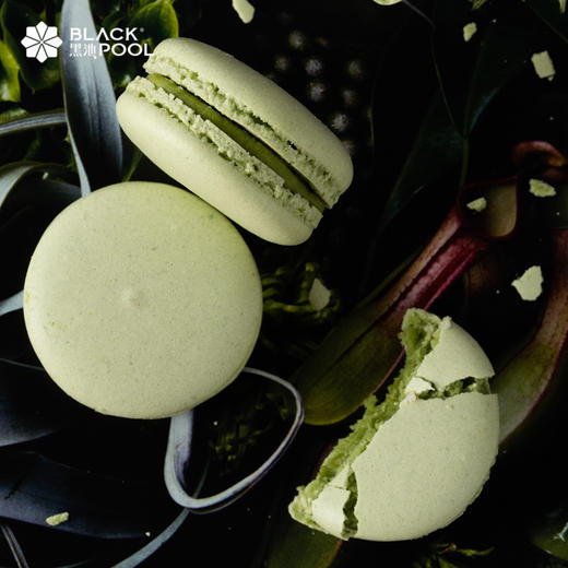 经典法式甜点马卡龙-15颗装马卡龙礼盒  15g/个 商品图10