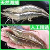 国产速冻大青虾/盒  净重3.4斤左右 商品缩略图2