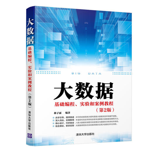 大数据基础编程、实验和案例教程（第2版） 商品图0