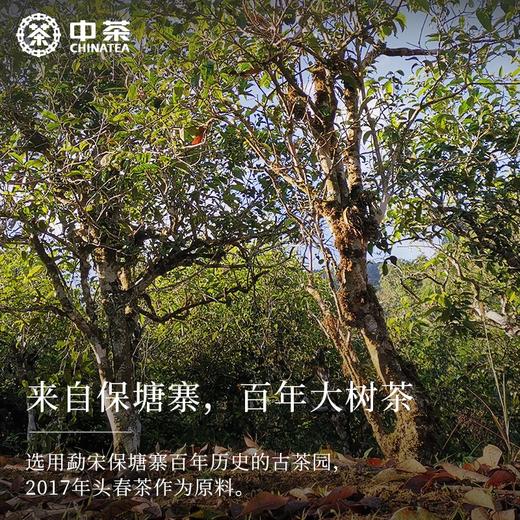 中粮-中茶2017年（生茶饼）茗山系列保塘大树云南名山名寨勐海县勐宋乡保塘村357g/饼 /云南干仓直发 商品图3