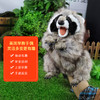 Folkmanis Puppets浣熊玩具/3075玩偶毛绒玩具礼物 商品缩略图2